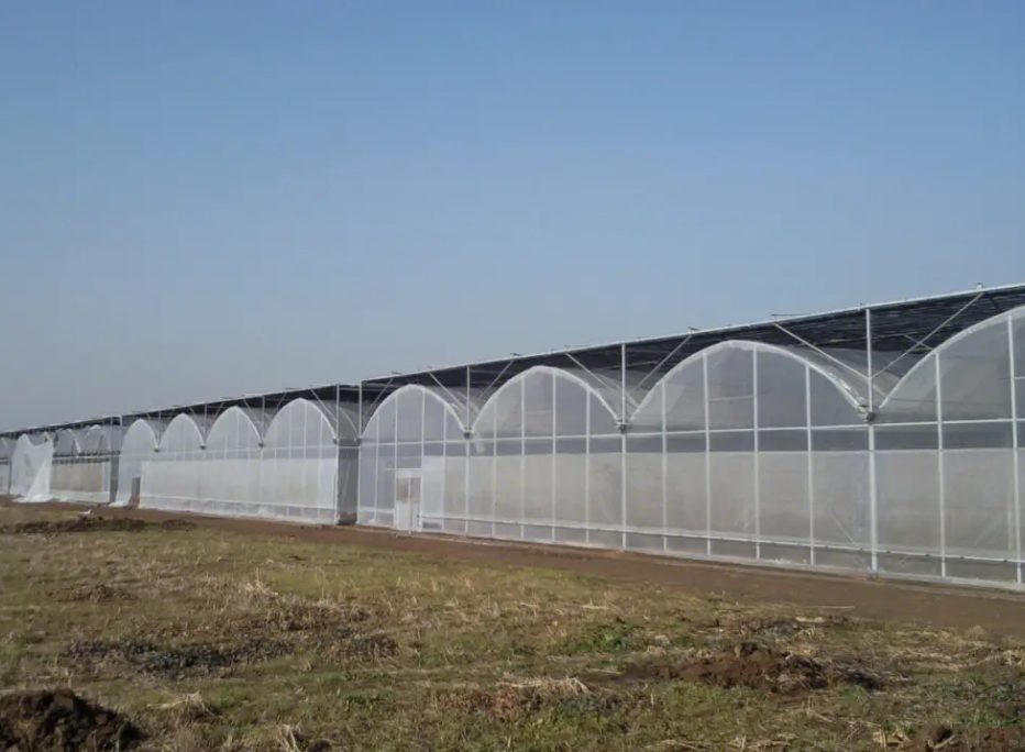连栋薄膜大棚尺寸是怎样确定的？