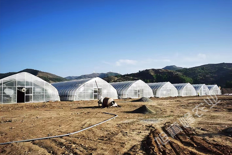 2020年漳县日光温室工程