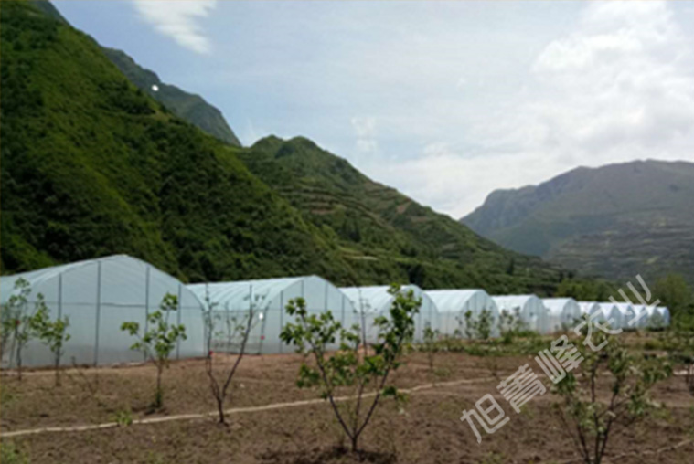 2020年漳县食用菌棚