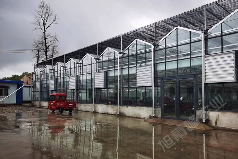 2021年定西五竹镇玻璃联栋温室