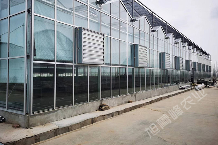 2021年定西市西巩驿镇玻璃联栋温室