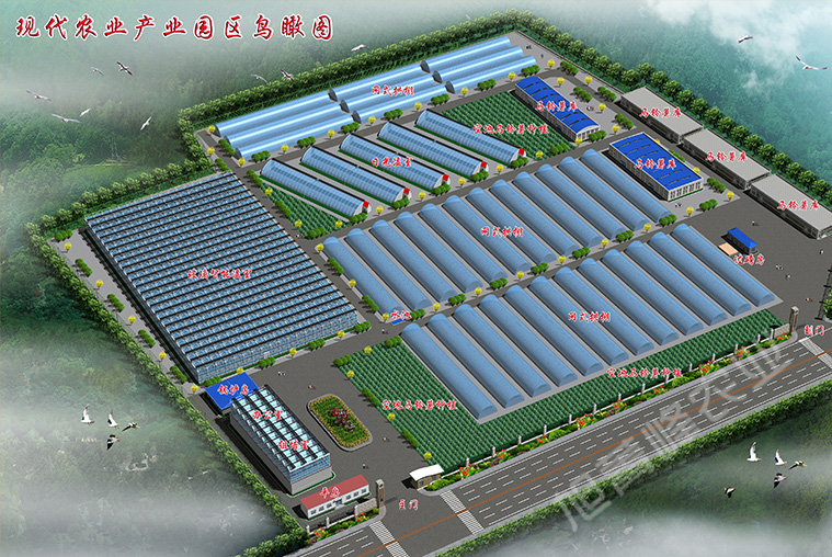 2020年渭源五竹马铃薯合作社园区项目
