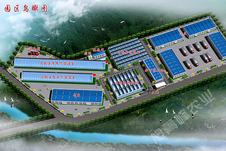 2021年静宁县马铃薯种薯繁育普库建设项