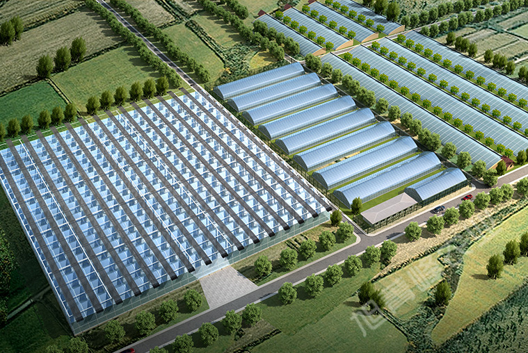 2021年民和县育苗组培室效果图