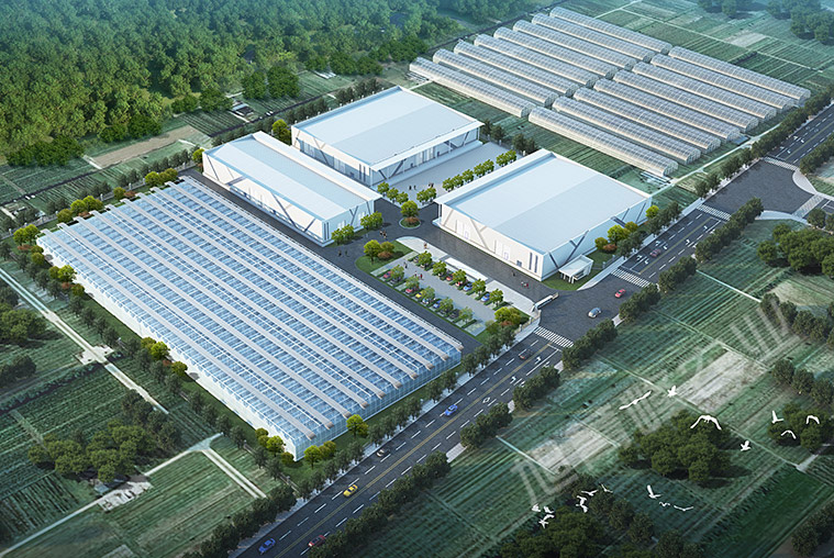 2021年渭源县国家农村产业融合发展马铃