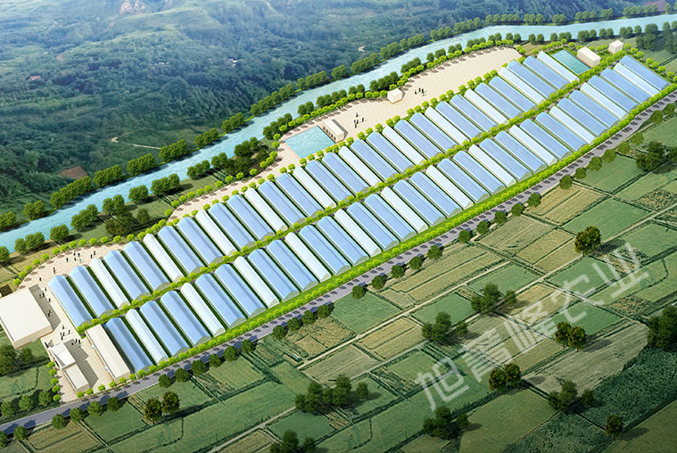 2020年渭源县五竹镇食用菌产业园